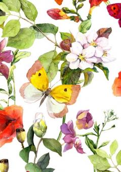 UNDATED DAILY PLANNER & BUSINESS ORGANIZER (Pink Butterfly)