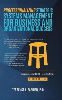 Professionalizing Strategic Systems Management for Business and Organizational Success