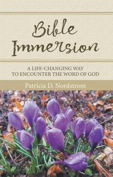Bible Immersion