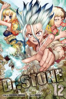 DR STONE VOL. 12