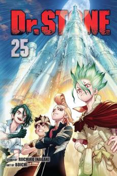 DR STONE VOL. 25