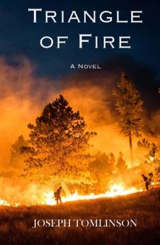 Triangle of Fire: 1 (Lightning Trilogy)