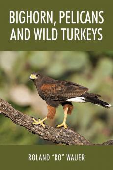 Bighorn Pelicans and Wild Turkeys