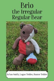 Brio the Irregular Regular Bear