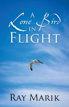 A Lone Bird in Flight