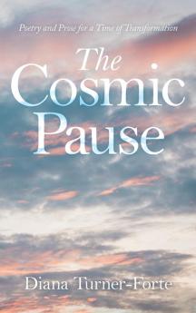 The Cosmic Pause