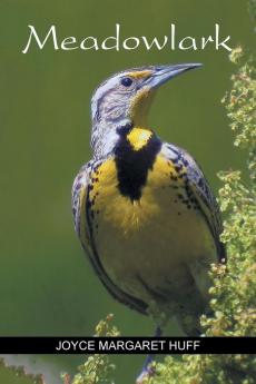 Meadowlark