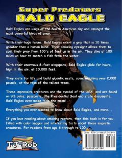 Bald Eagle: Age 6 and above (Super Predators)