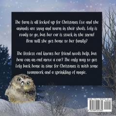 The Littlest Owl's Christmas Rescue