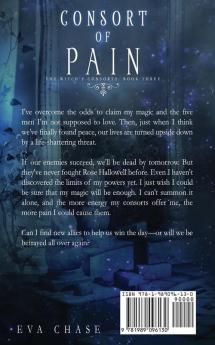 Consort of Pain: 3 (The Witch's Consorts)