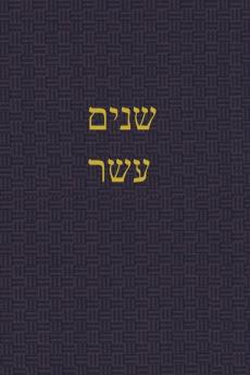 The Book of the Twelve