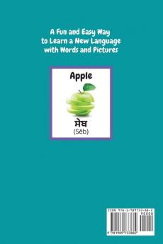 My First Words A - Z English to Punjabi: Bilingual Learning Made Fun and Easy with Words and Pictures: 8 (My First Words Language Learning)