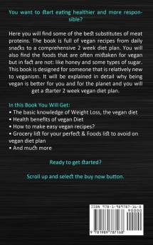 Vegan Diet: Delicious Mouth Watering Recipes and Gluten-Free Vegetarian Diet (Quick and Easy and Low Fat Recipes for Vegetarians)