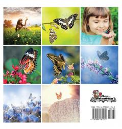 Butterflies A No Text Picture Book: A Calming Gift for Alzheimer Patients and Senior Citizens Living With Dementia: 1 (Soothing Picture Books for the Heart and Soul)