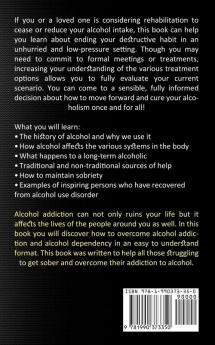 Alcohol Recovery Books: All About Alcohol Abuse How It Affects Your Life (An Easy Guide to Stop Drinking and Recover From Alcohol Addiction)