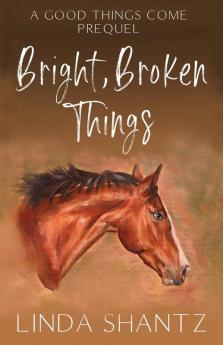 Bright Broken Things