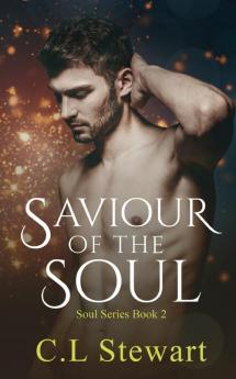 Saviour of The Soul: 2 (Soul Series)