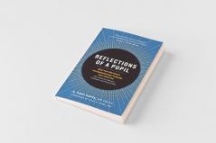 Reflections of a Pupil