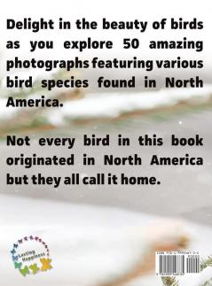 North American Birds: 1 (For Adults with Dementia and Other Life Challenges)