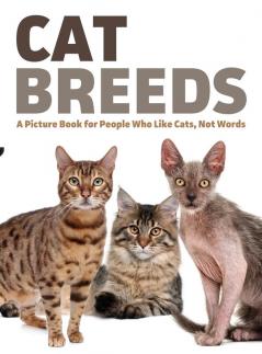 Cat Breeds: A Picture Book for People Who Like Cats Not Words: 4 (For Adults with Dementia and Other Life Challenges)