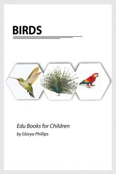 Birds: Montessori real birds book bits of intelligence for baby and toddler children's book learning resources. (Edu Books for Children)