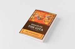 Essays on the GITA