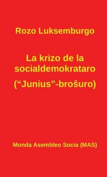 La krizo de la socialdemokrataro (Junius-broŝuro): Kun Lenino: Pri la Junius-broŝuro: 207 (Mas-Libro)