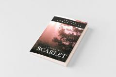 A Study in Scarlet