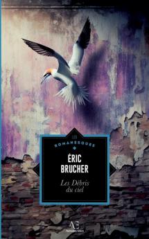 Les D��bris du ciel