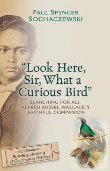 Look Here Sir What a Curious Bird