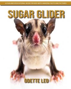 Sugar Glider