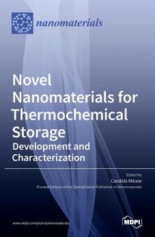 Novel Nanomaterials for Thermochemical Storage: Development and Characterization