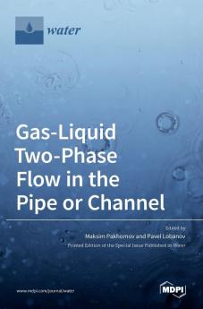 Gas-Liquid Two-Phase Flow in the Pipe or Channel