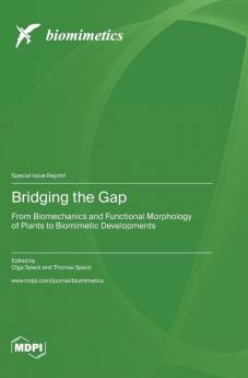 Bridging the Gap