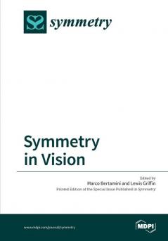 Symmetry in Vision