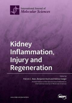 Kidney Inflammation Injury and Regeneration