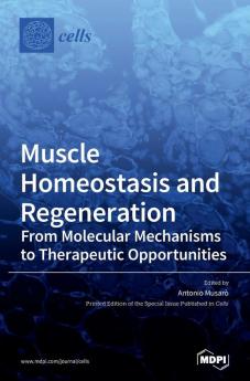 Muscle Homeostasis and Regeneration: From Molecular Mechanisms to Therapeutic Opportunities