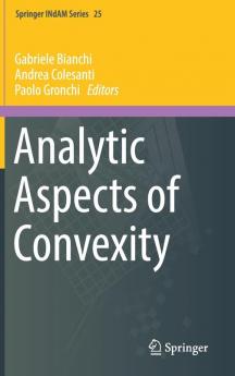 Analytic Aspects of Convexity