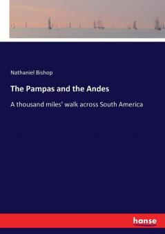 The Pampas and the Andes