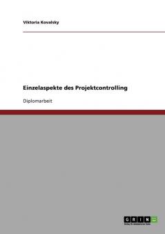 Einzelaspekte des Projektcontrolling
