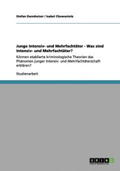 Junge Intensiv- und Mehrfachtäter - Was sind Intensiv- und Mehrfachtäter?