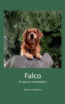 Falco