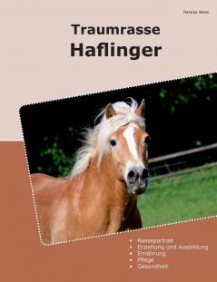 Traumrasse Haflinger