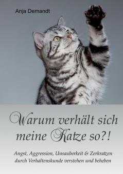 Warum verhält sich meine Katze so