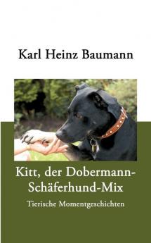 Kitt der Dobermann-Schäferhund-Mix