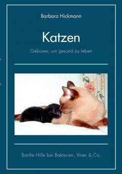 Katzen - geboren um gesund zu leben