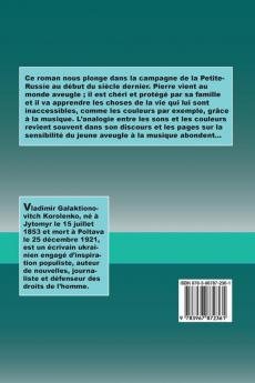Le Musicien aveugle