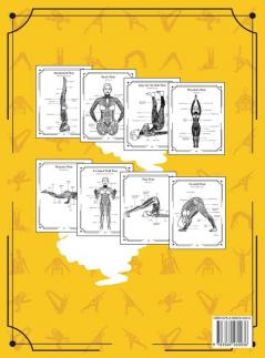 Yoga Anatomy Coloring Book