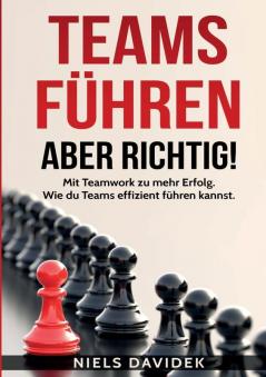 Teams f��hren - aber richtig!