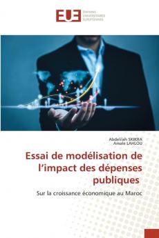 Essai de modélisation de l'impact des dépenses publiques